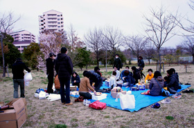 11hanami002.JPG