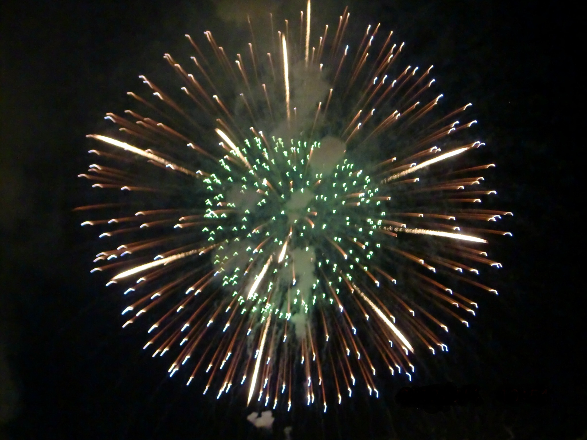 20120831_hanabi3.jpg