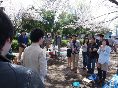 2014hanami01.jpg