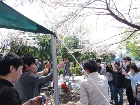 2014hanami02.jpg